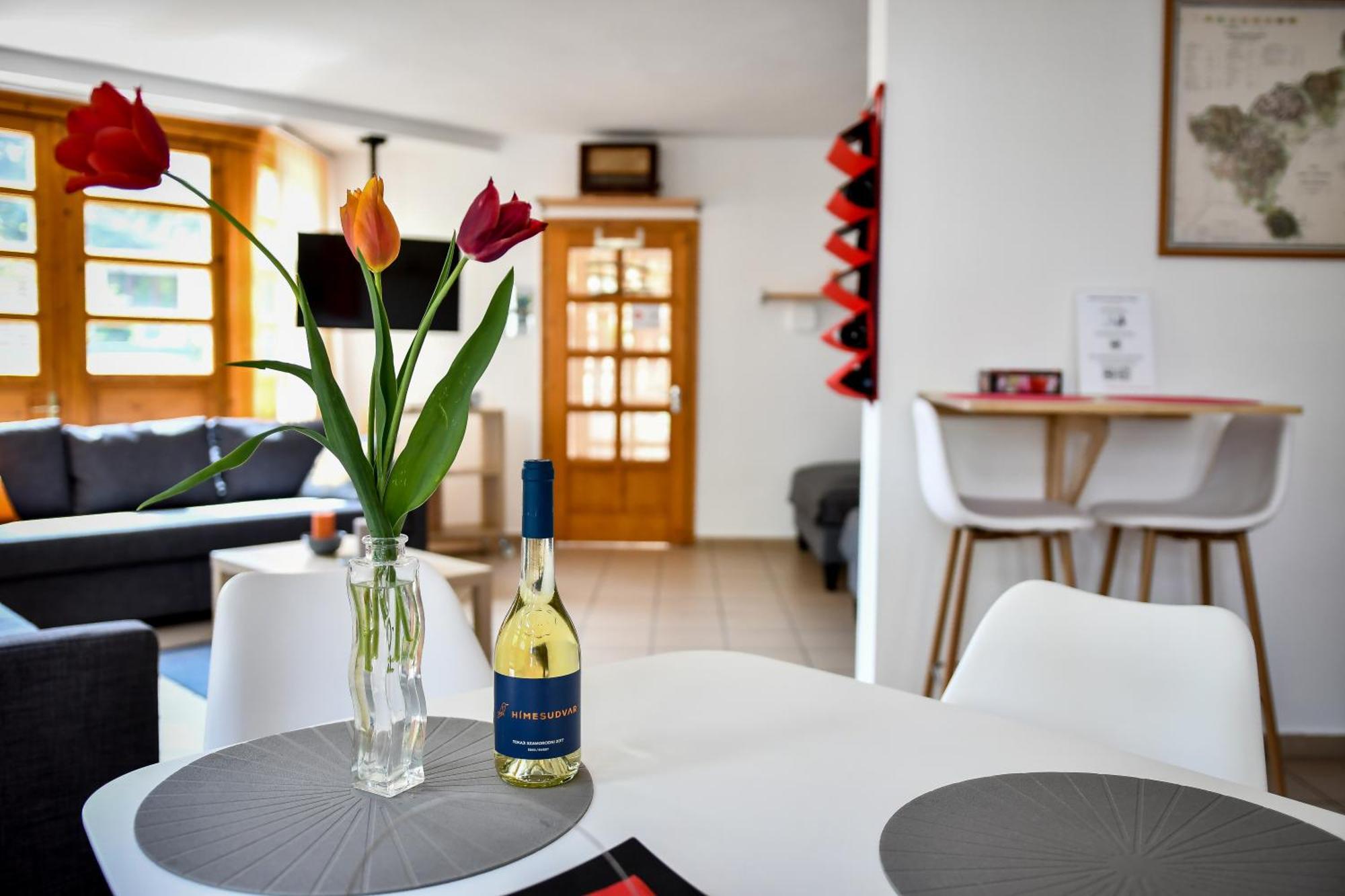 Boralom Studio Apartman Tokaj Exteriör bild