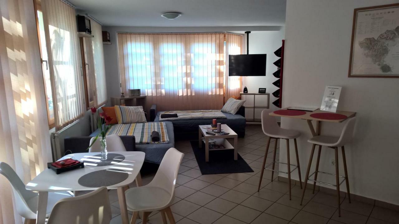Boralom Studio Apartman Tokaj Exteriör bild